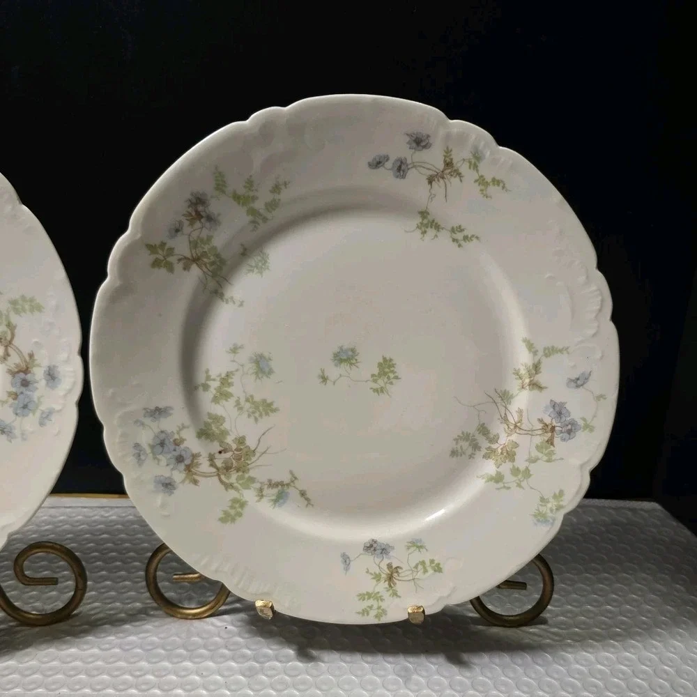 Pair Of Antique Jean Pouyat Limoges(J.P.L.)FinePorcelain Floral Scalloped 8.5